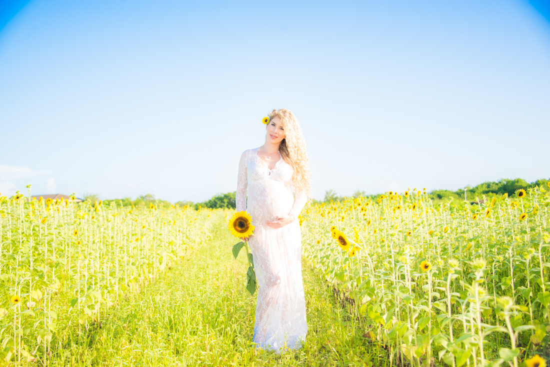 maternity photo mommy to be holding belly and sunflower in middle of sunflower field